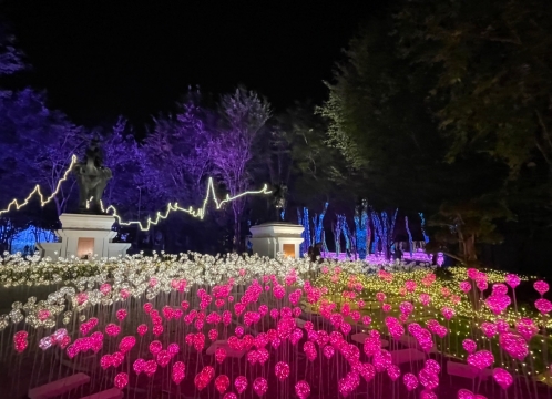 イルミネーション